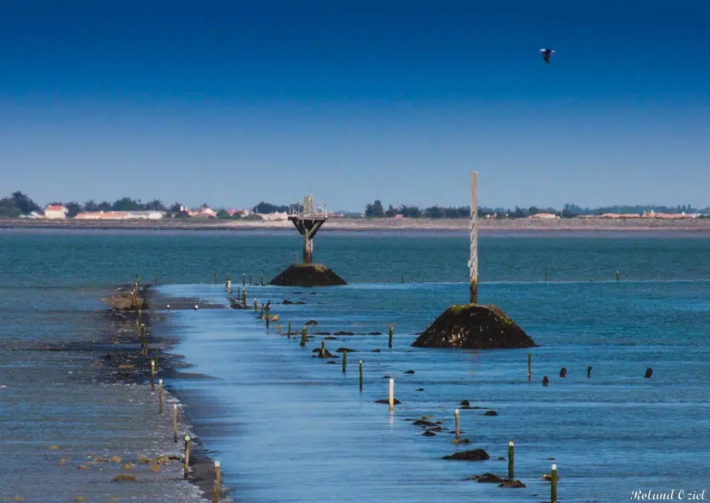Passage du gois