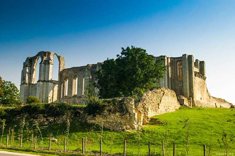 abbaye de maillezais IMG 1401