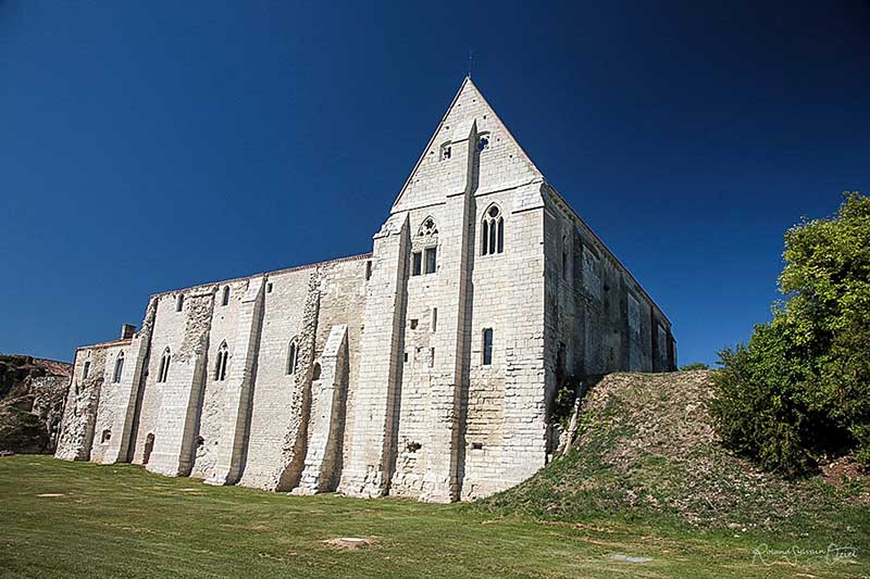 abbaye de maillezais IMG 4508