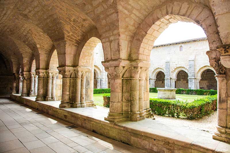 abbaye de nieul sur l autise IMG 7108