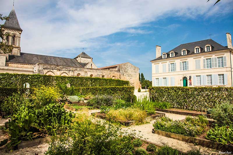 abbaye de nieul sur l autise IMG 7152