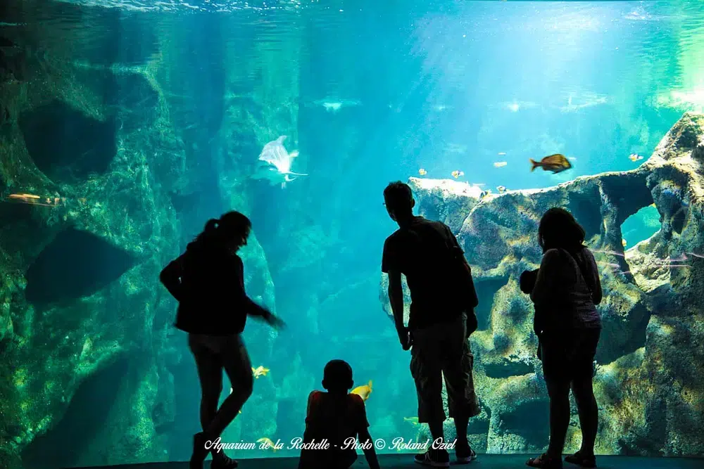 visiteurs devant un grand bassin de l’aquarium de La Rochelle
