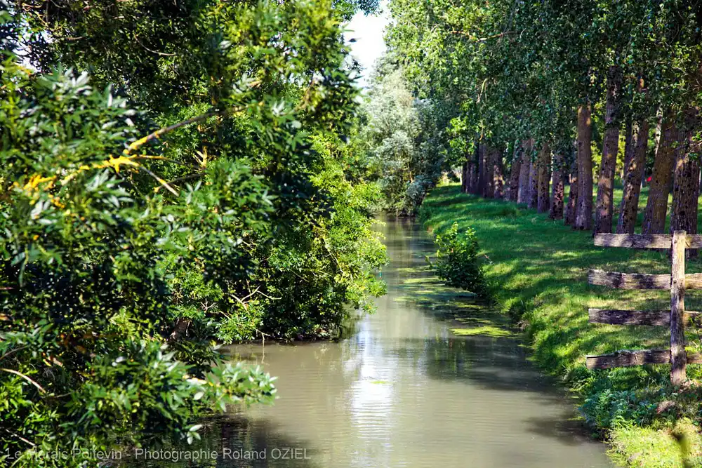 canaux marais poitevin IMG 0509