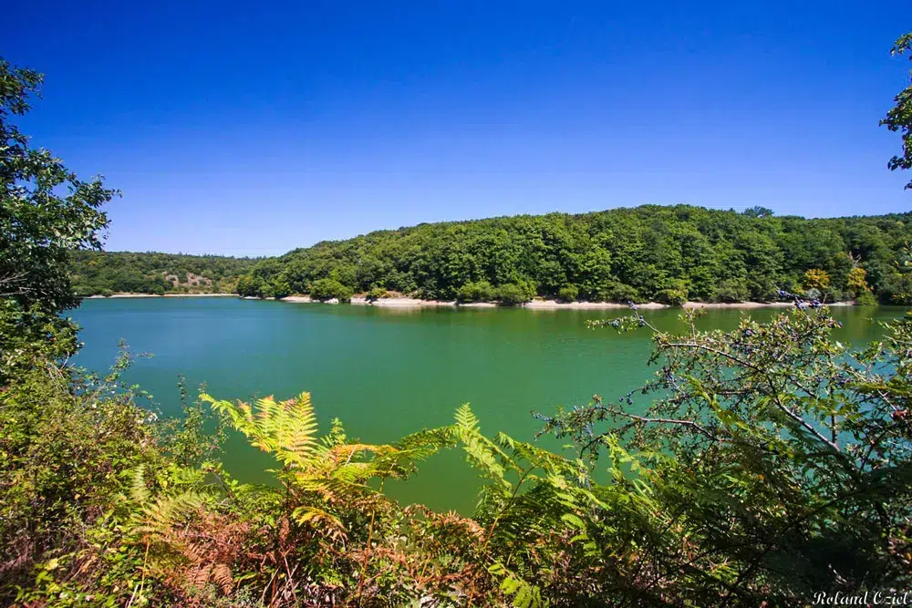lac barrage foret mervent IMG 2861