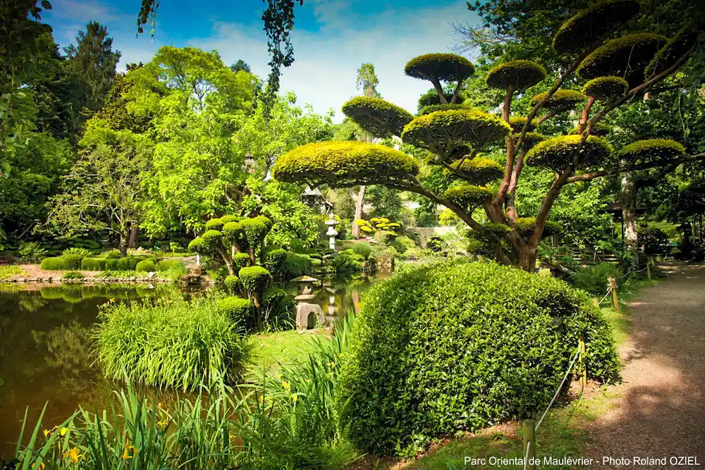 parc oriental de maulevrier IMG 7211