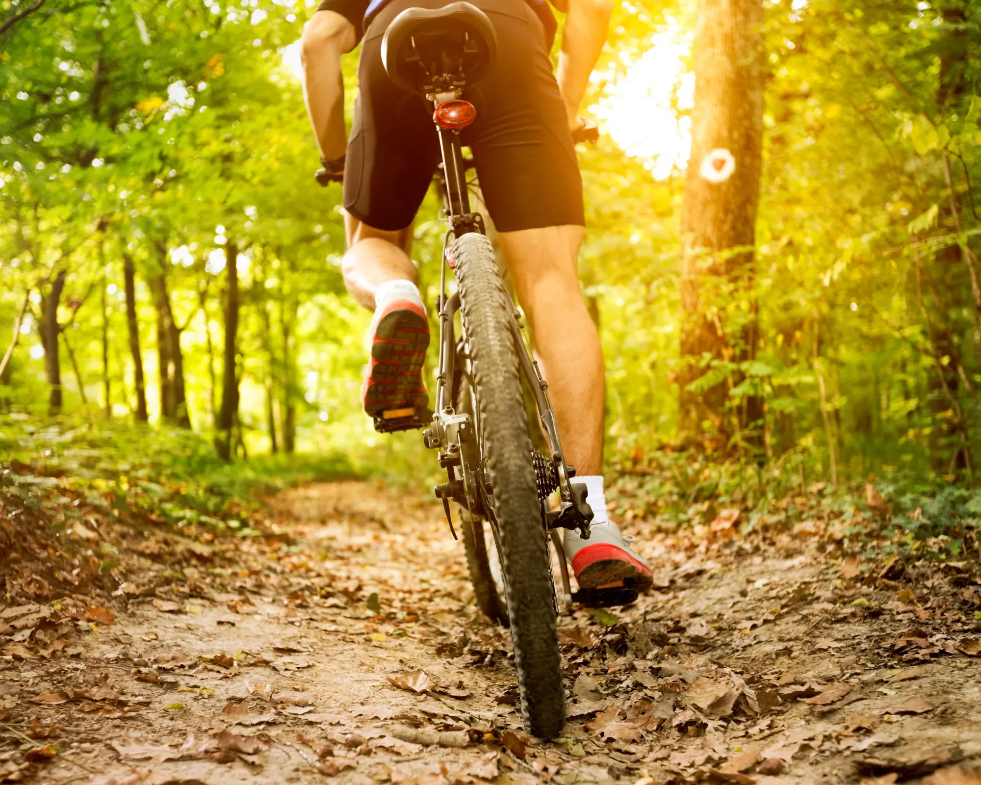rando vtt vendee