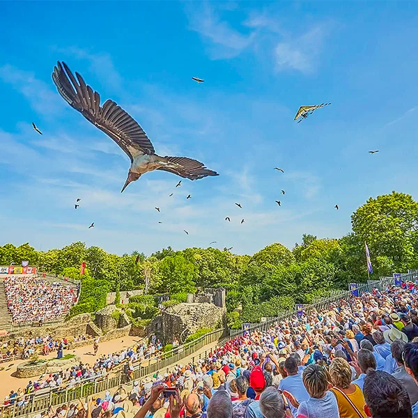 310 birds of around fifty different species