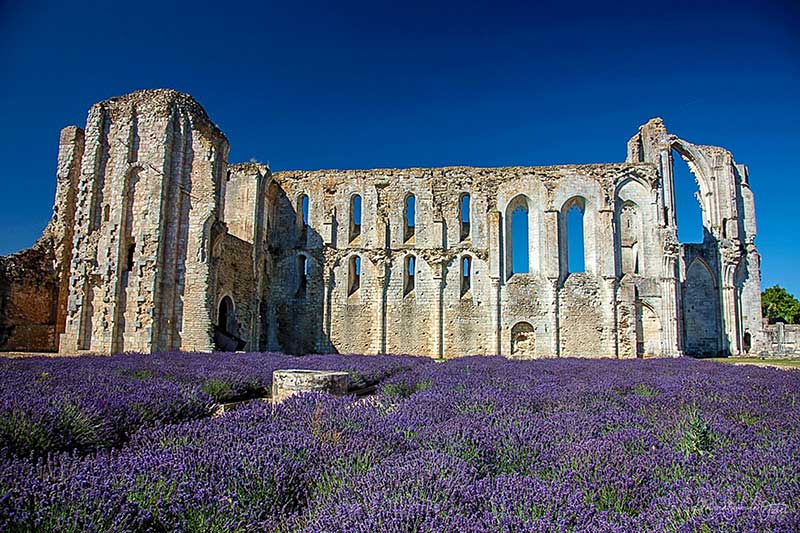L'Abbaye du marais est située à Maillezais