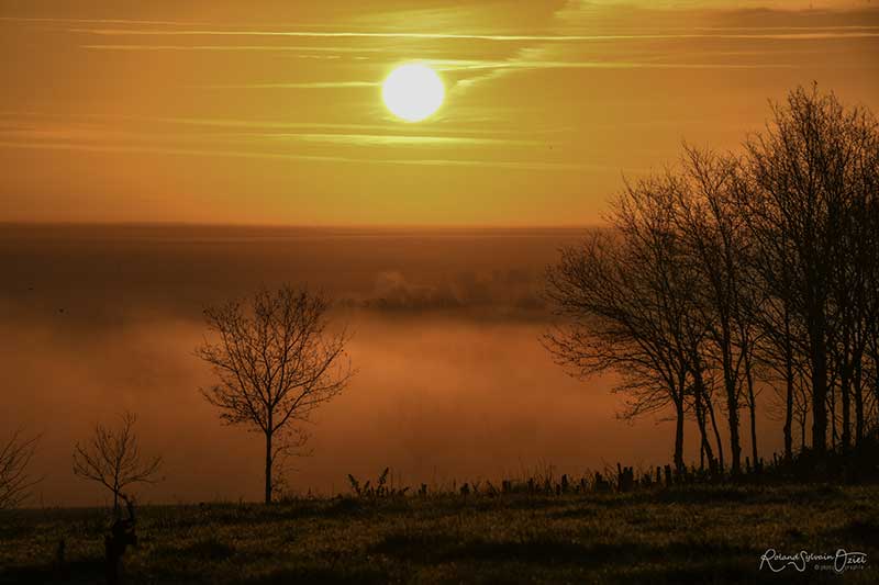 campagne autour de la Flocellière
