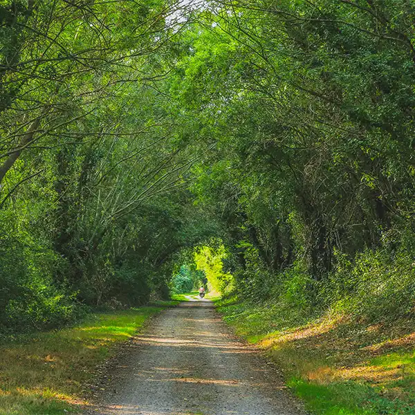 direct connection with nature
