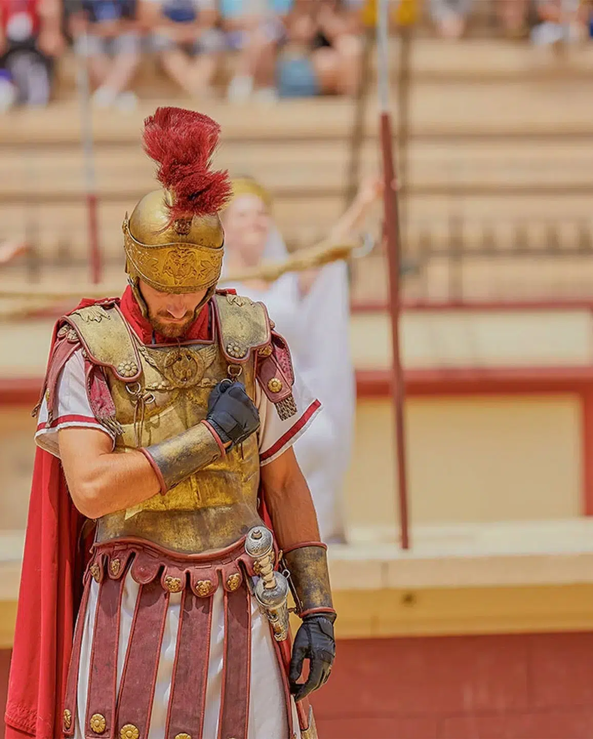 discover el Puy du Fou result