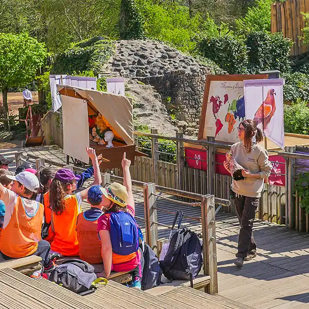 Puy du Fou, a major centre for birds of prey
