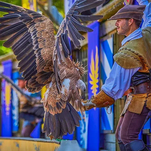 professionnel des fauconniers du puy du fou