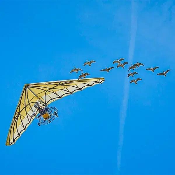 puy du fou le bal des oiseaux fantome