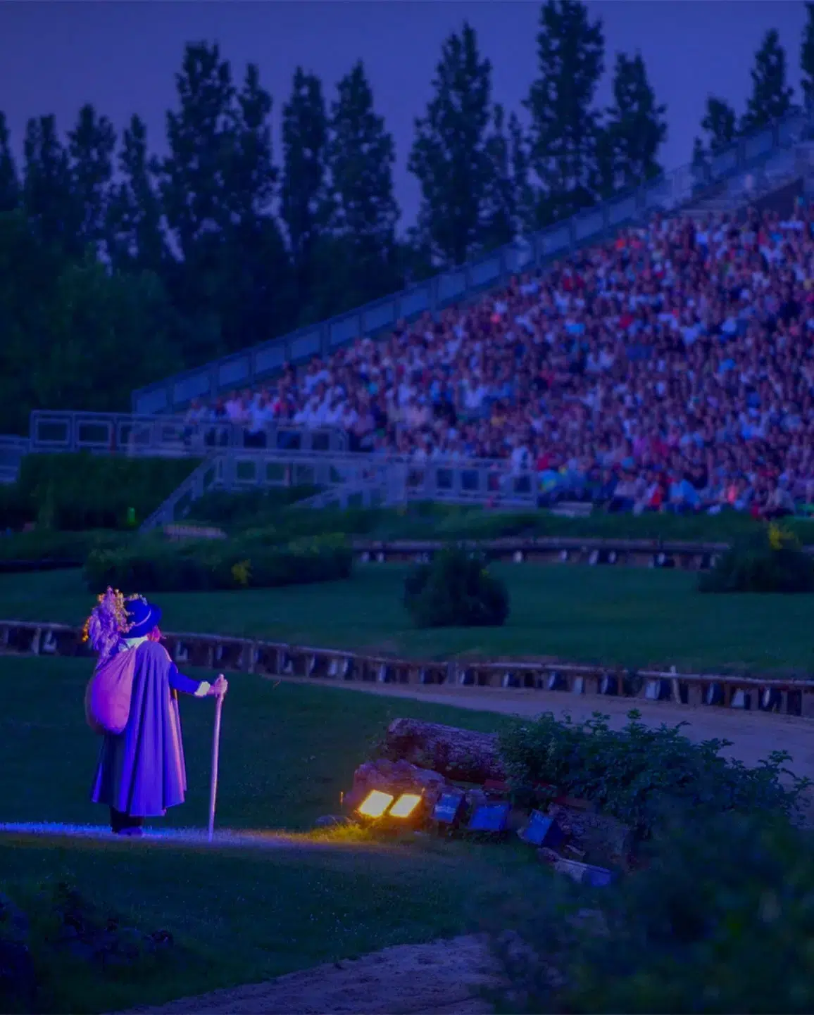 night show Puy du Fou result