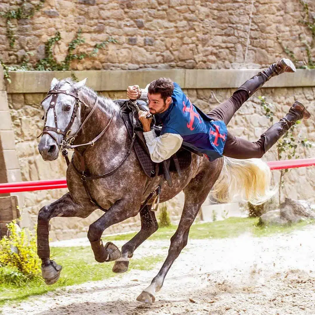 spectacle puy du fou resultat