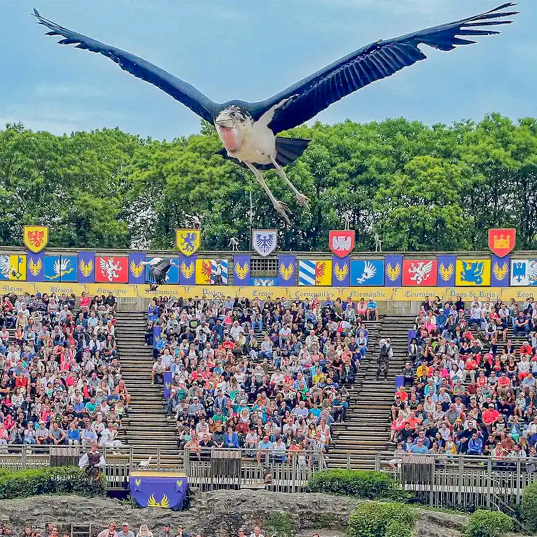 Puy du Fou show result