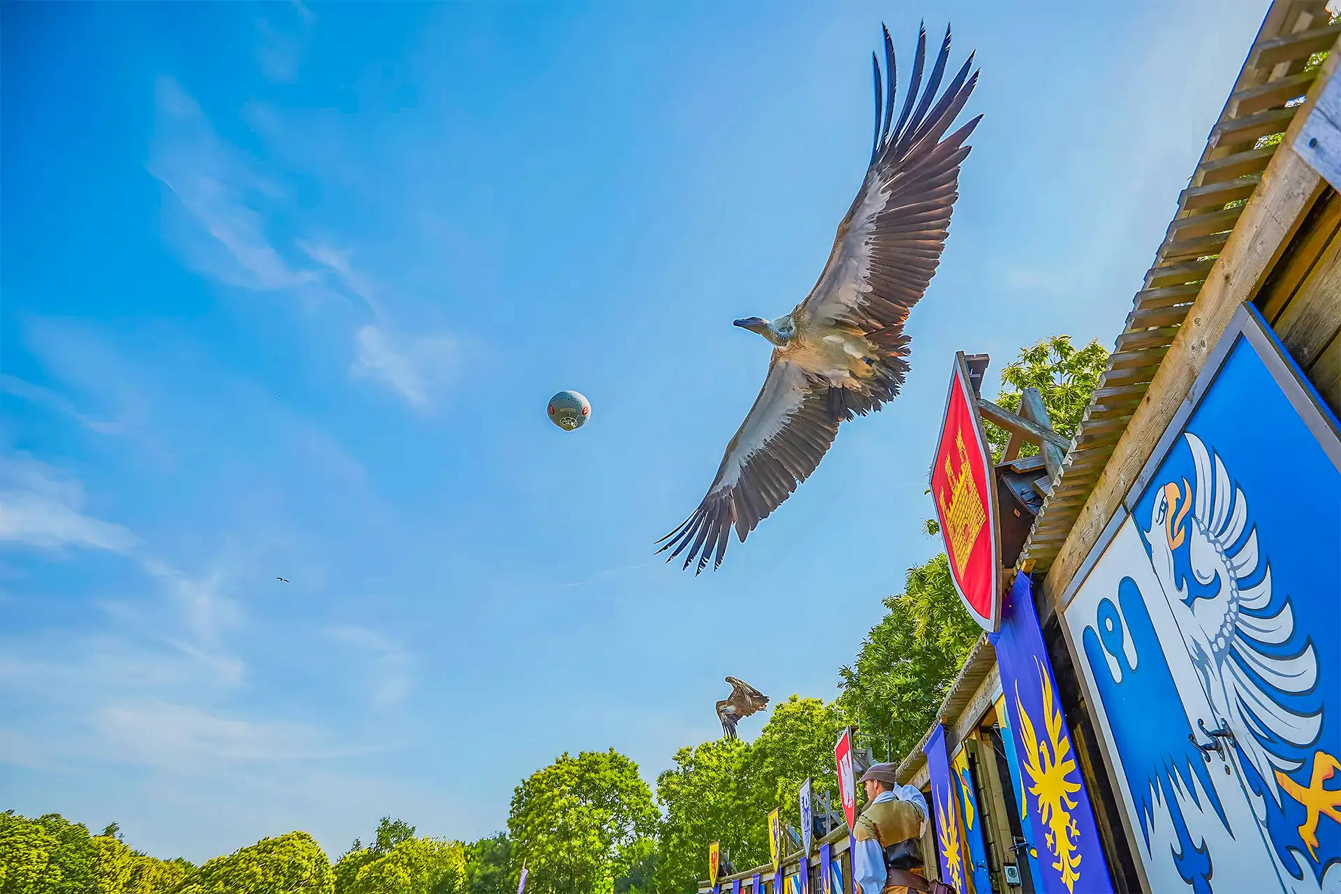 un spectacle aerien