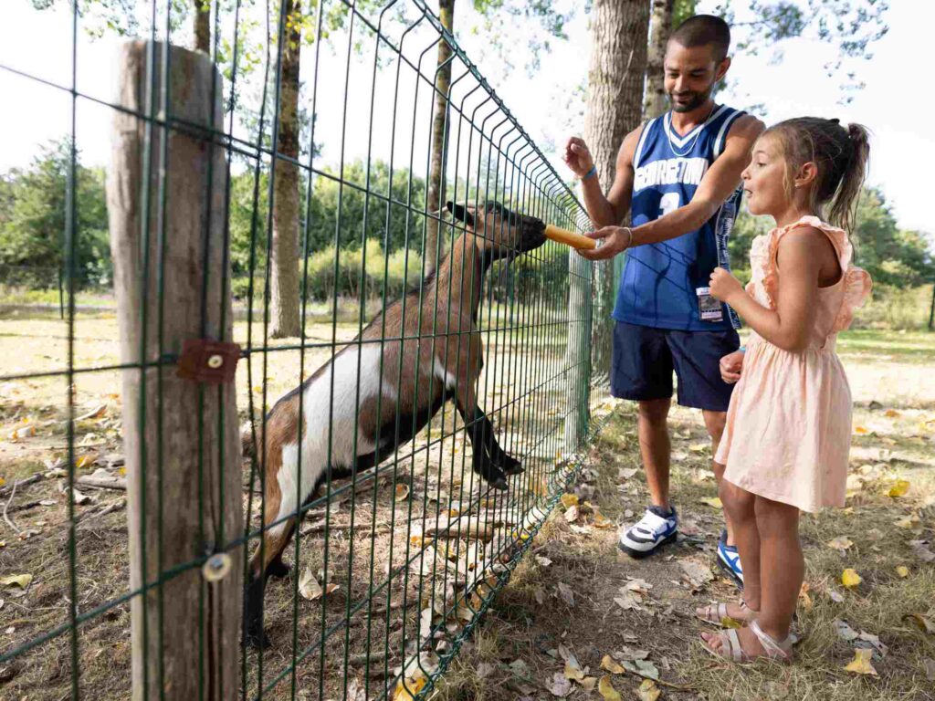 mini farm campsite Puy du Fou