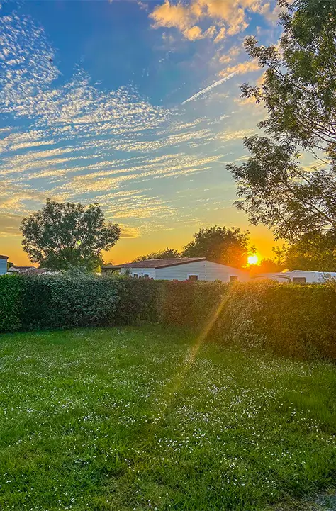 Grande parcelle herbeuse bordée de haies au coucher du soleil, camping en Vendée